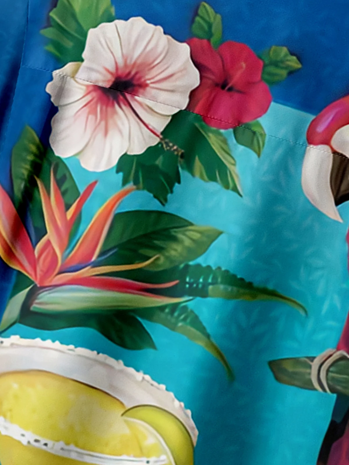 Parrots Chest Pocket Short Sleeve Hawaiian Shirt