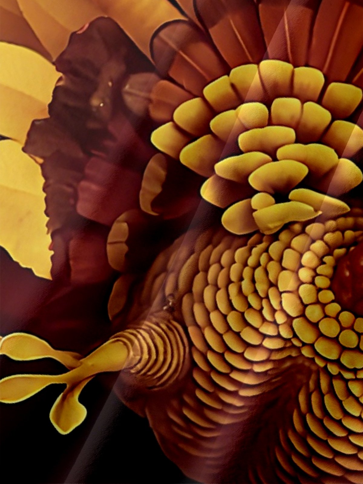 Moisture Wicking Funny Thanksgiving Turkey Chest Pocket Hawaiian Shirt