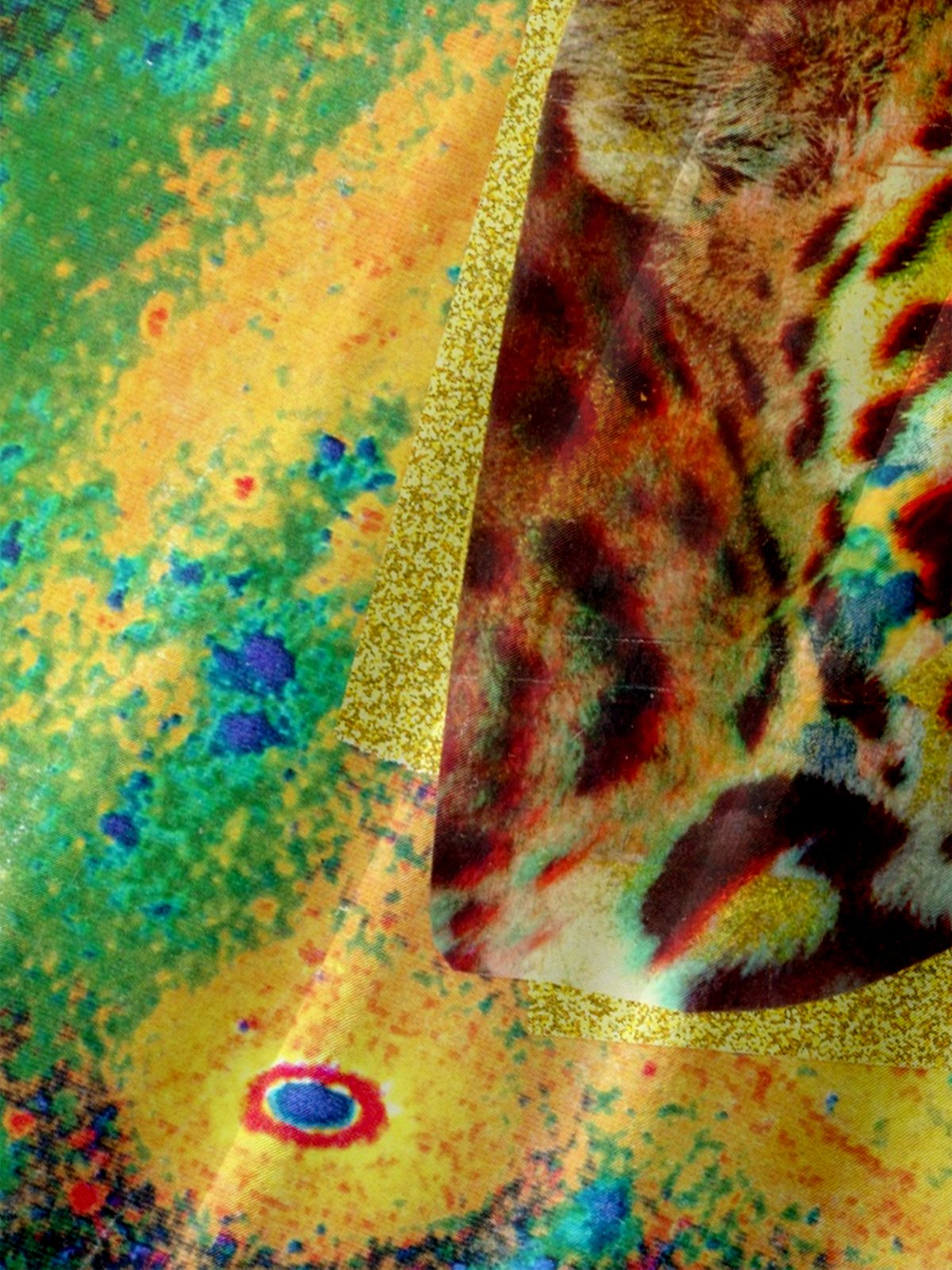 Hardaddy X Lara Rouse Moisture-wicking Tiger Gradient Color Chest Pocket Hawalian Shirt