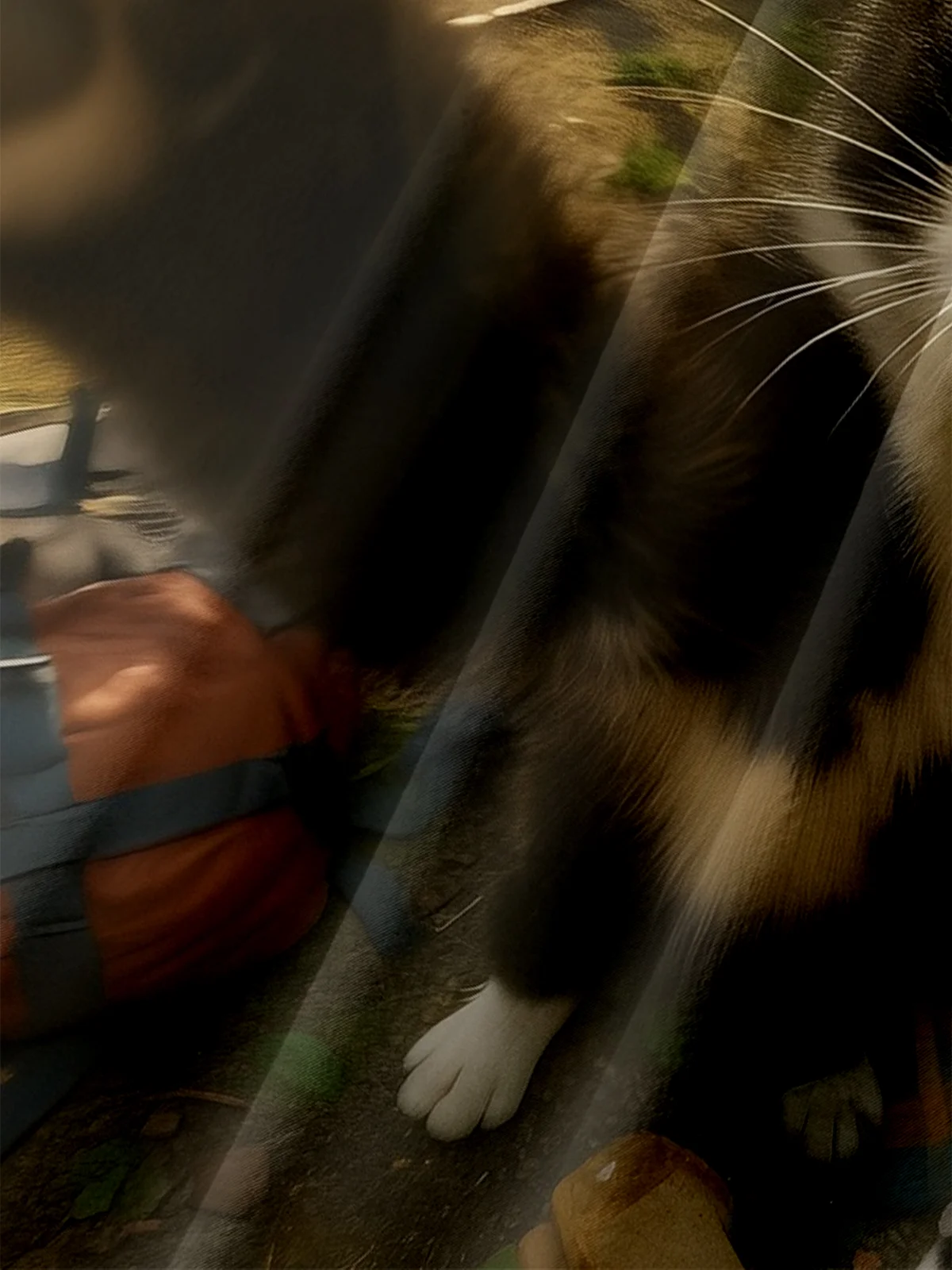 Moisture-wicking Cat Camping Funny Chest Pocket Casual Shirt