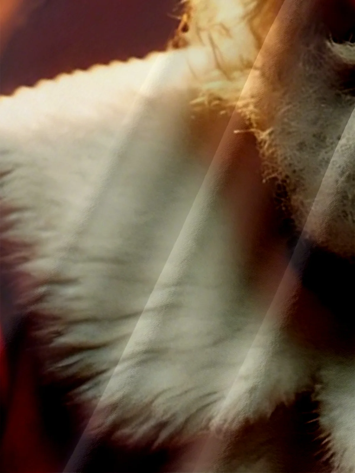 Moisture-wicking Christmas Santa Claus Fun Chest Pocket Casual Shirt