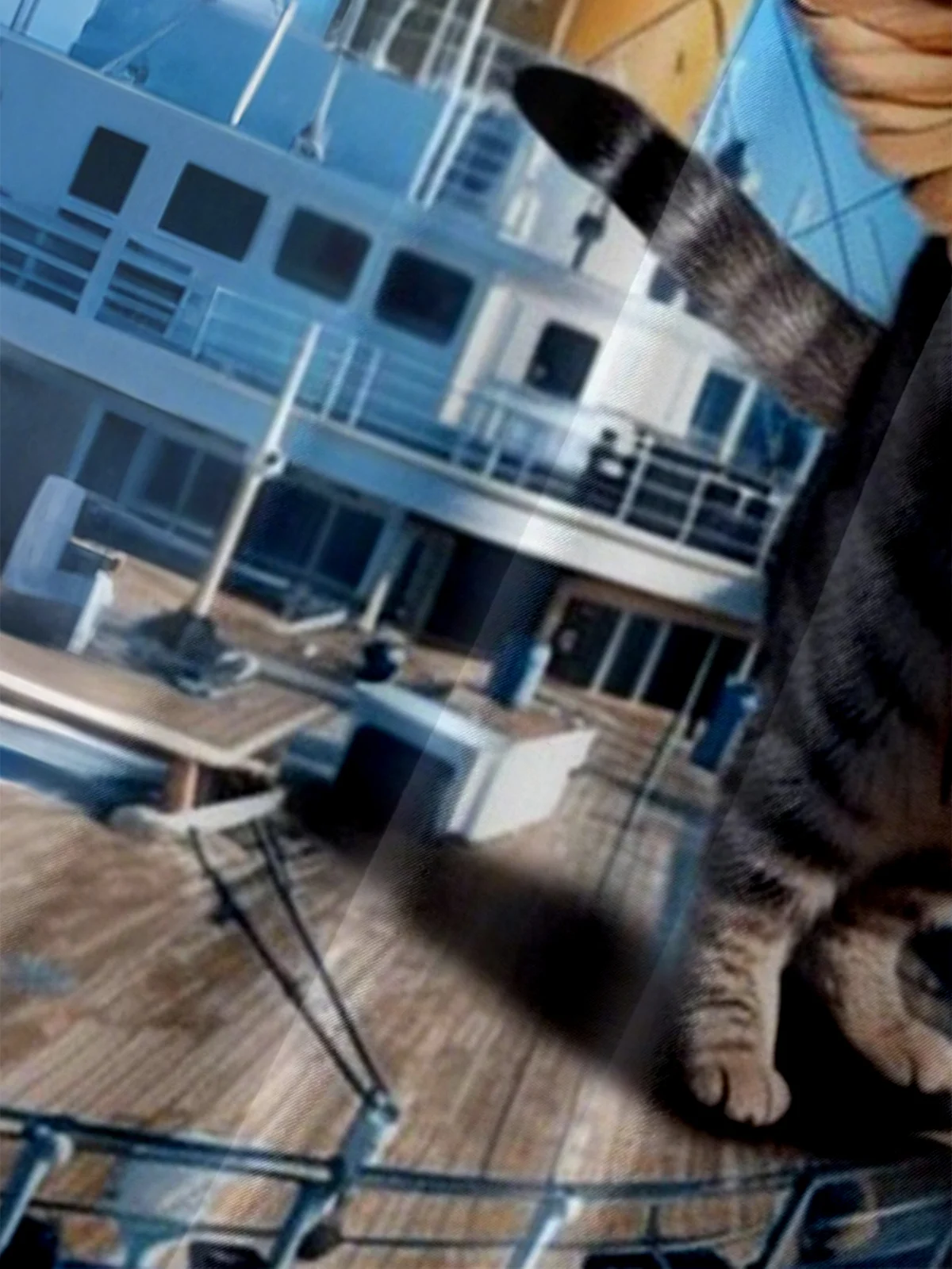 Moisture-wicking Cat and Chicken Fun Titanic Chest Pocket Hawaiian Shirt