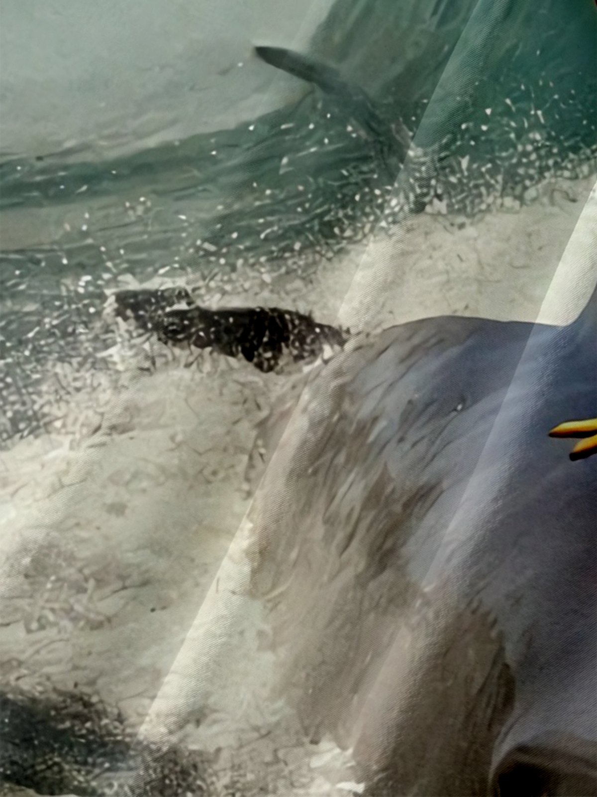 Moisture-wicking Fun Chicken Surfing Dolphin Chest Pocket Hawaiian Shirt