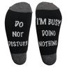 DO NOT DISTURB I'M BUSY DOING NOTHING Socks